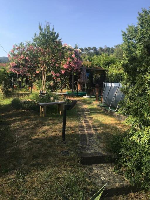 Ferienwohnung Le Rose , Relax In Casolare Del 1700 Sarzana Exterior foto